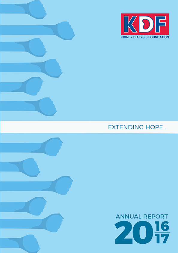 Corporate Report 2016/2017